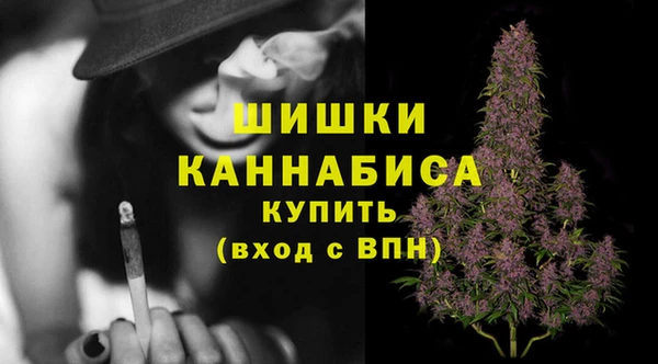дживик Дмитров