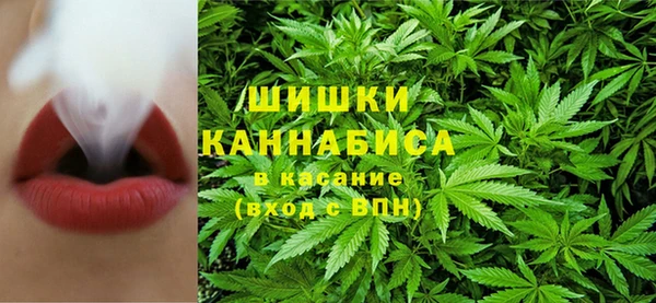 шишки Елабуга