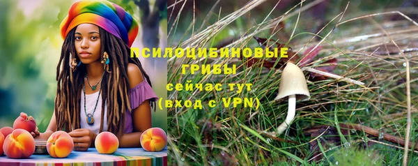 шишки Елабуга