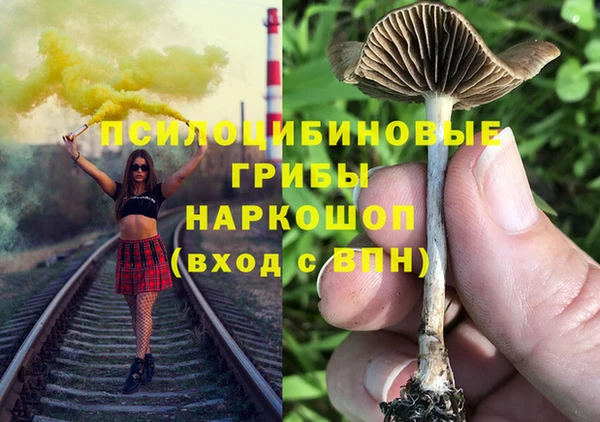 марки lsd Ельня