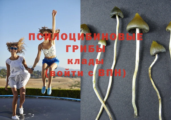 MESCALINE Дмитровск
