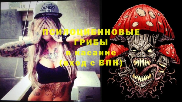 дживик Дмитров