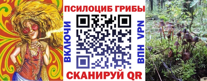 MEGA как зайти  Каневская  Псилоцибиновые грибы MAGIC MUSHROOMS 